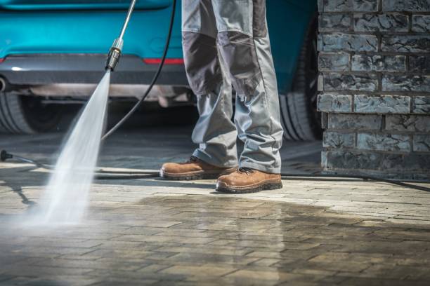 Best Dumpster Area Cleaning  in Springs, NY